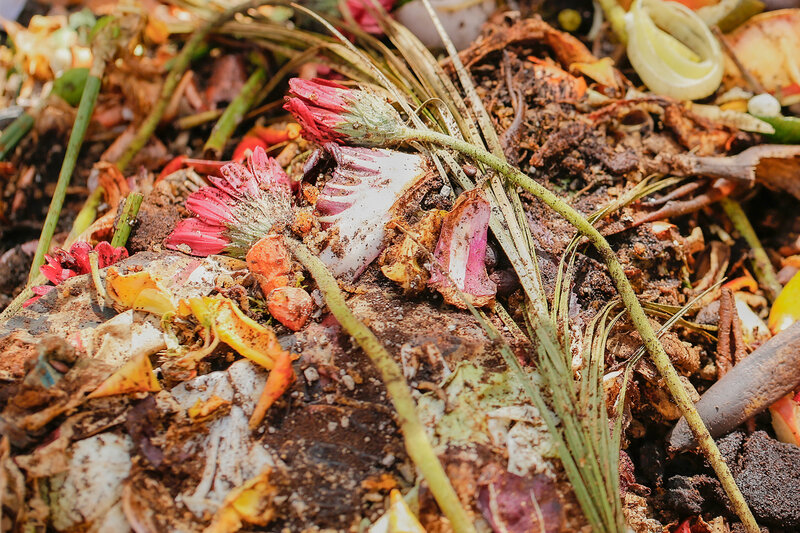 HeroImage-Biologische-Abfaelle