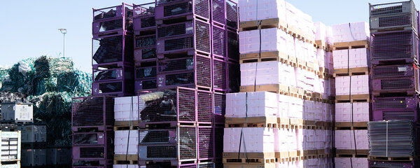 RDG-Auftraggeber-1500x600