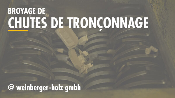 TN-Weinberger-1280x720