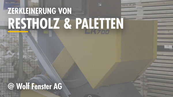 TN-Wolf-Fenster-de-1280x720