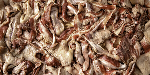 Schlachtabfall-1000x500