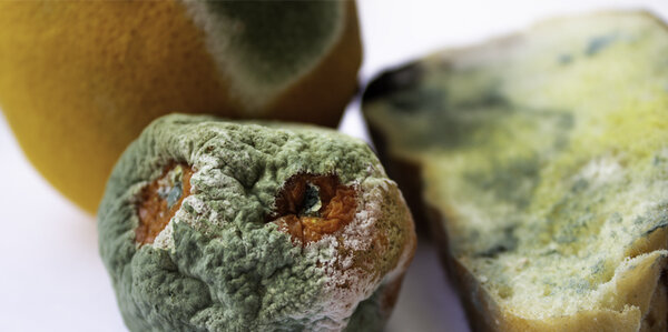 Abgelaufene-Ware-1000x500