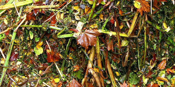 Gruenschnitt-1000x500