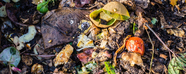 Image-Biomuell-1500x600